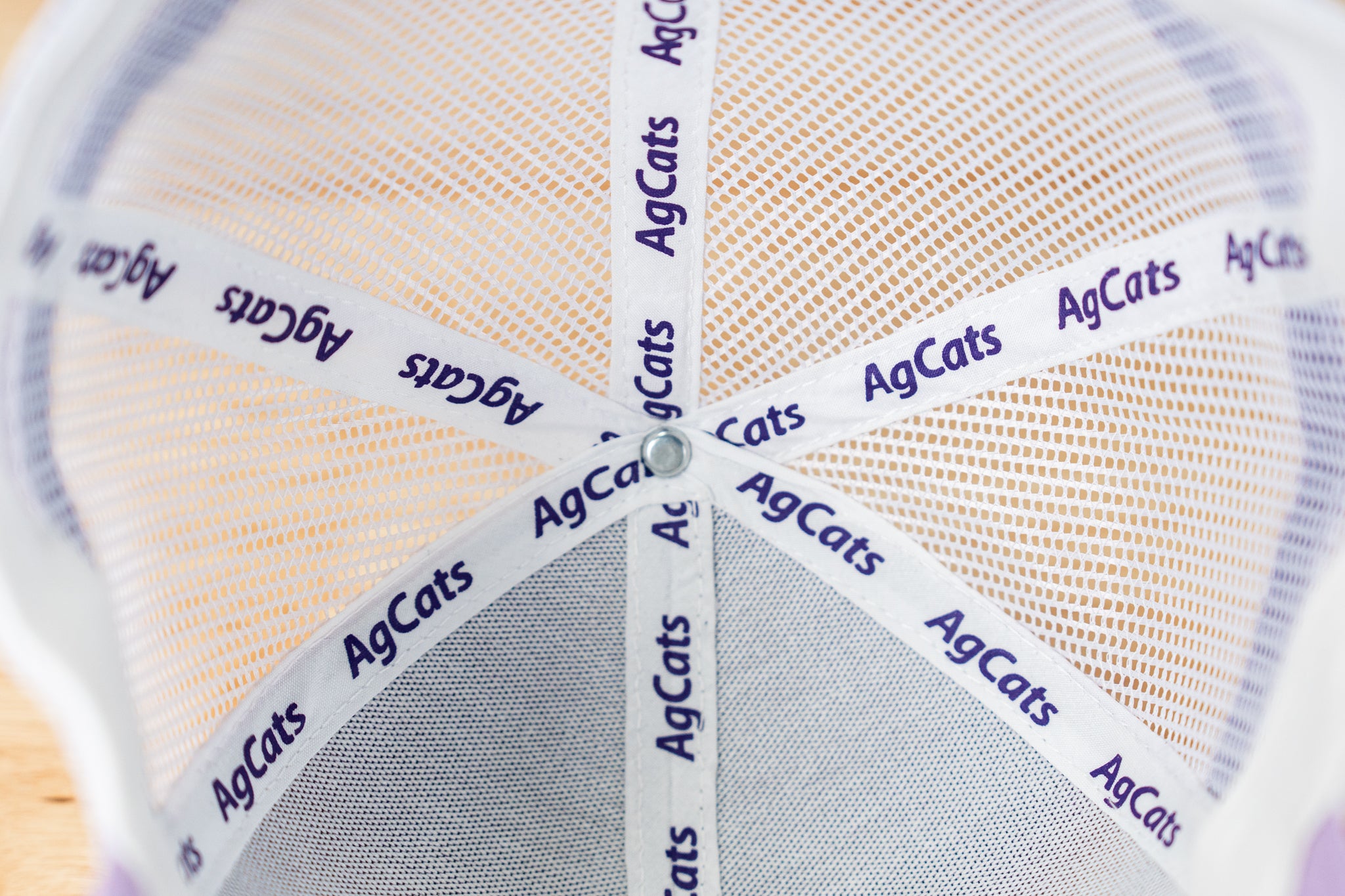Celebrate Ag Lavender Mesh Hat