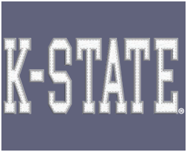 Unisex Long-Sleeve Comfort Colors T-Shirt