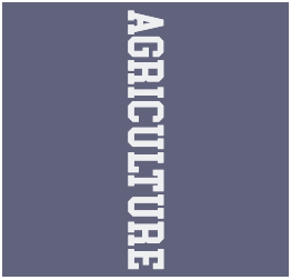 Unisex Long-Sleeve Comfort Colors T-Shirt